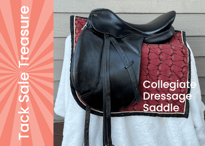 collegiate dressage saddle tack sale