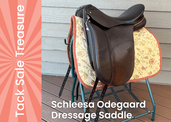 Schleesa Odegaard Dressage Saddle