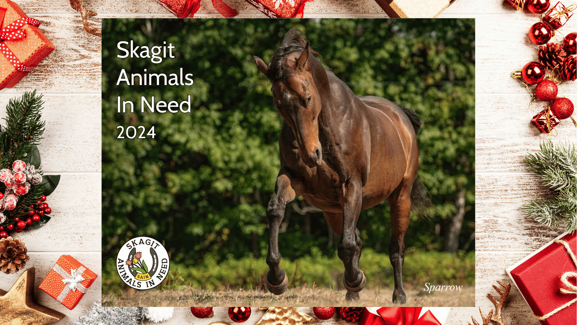Calendar Fundraiser - Skagit Animals in Need