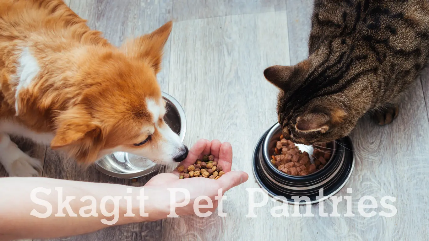 person feeding a small dog and a cat, Skagit Pet Pantries